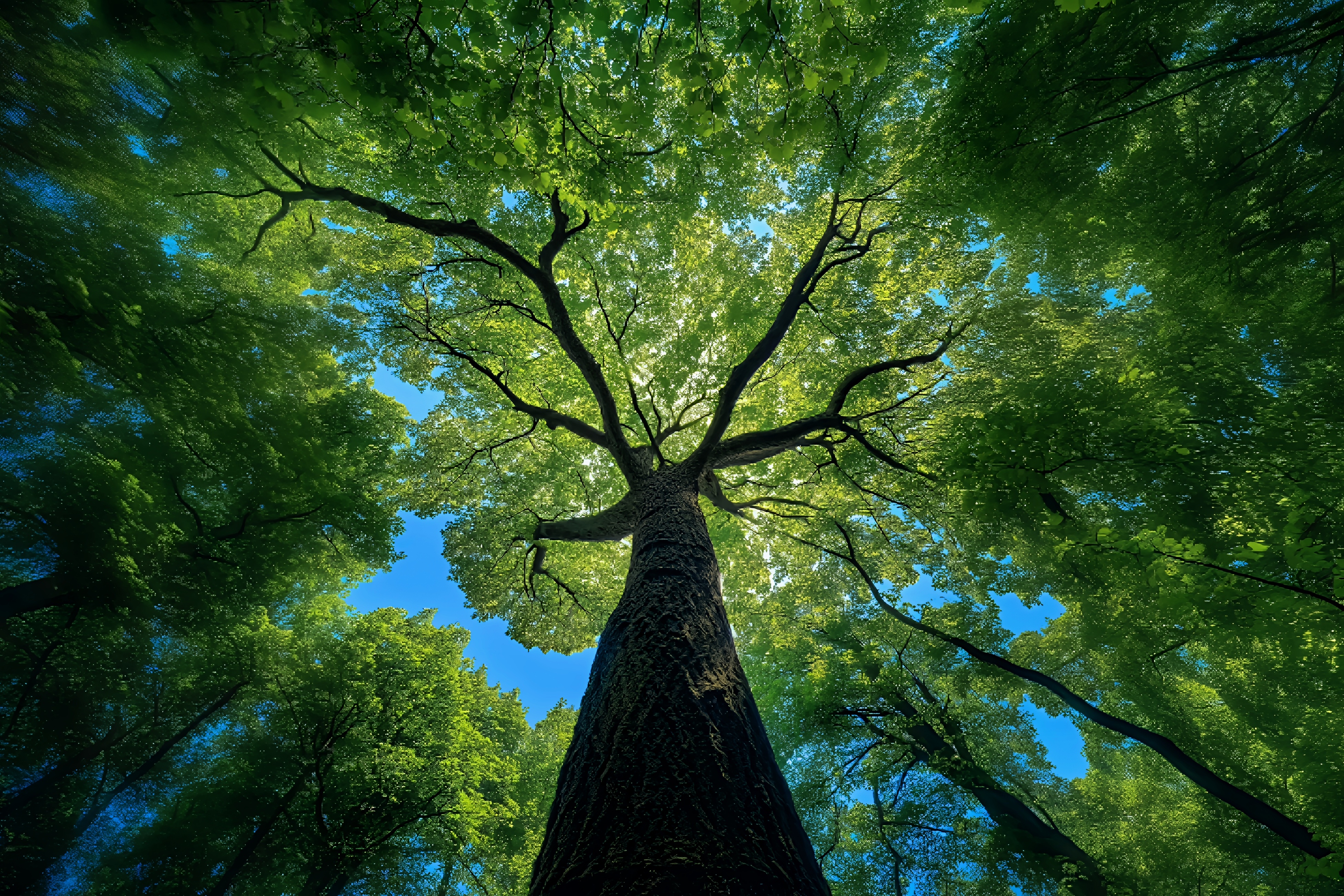 英国见闻：于古典底蕴中，赴一场AI学术之约